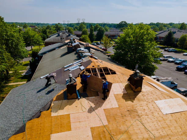 Best Roof Repair Services  in Alma, MI