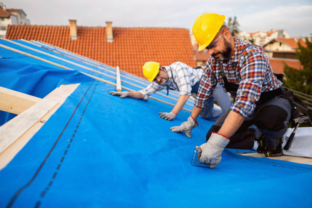Roof Waterproofing Services in Alma, MI