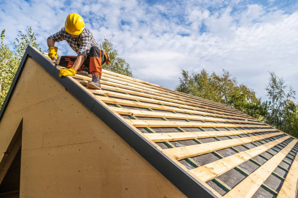 Best Roof Gutter Cleaning  in Alma, MI