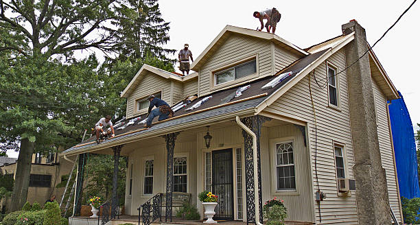 Best Roof Waterproofing Services  in Alma, MI