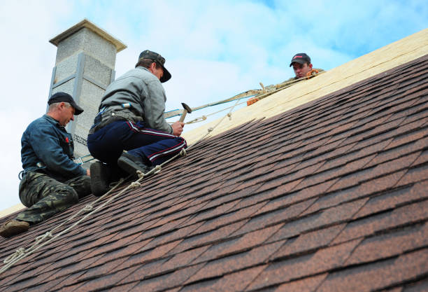 Best Roof Repair Estimates  in Alma, MI